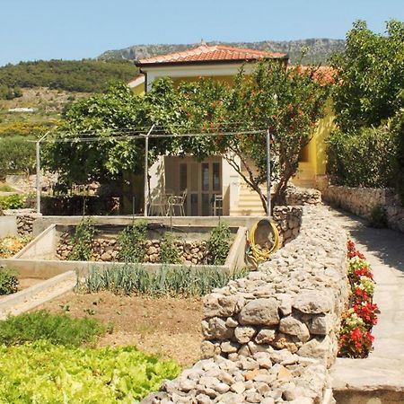 Apartments Nejasmic - Little House For Peaceful And Domestic Vacation Bol Buitenkant foto