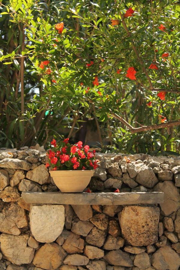 Apartments Nejasmic - Little House For Peaceful And Domestic Vacation Bol Buitenkant foto
