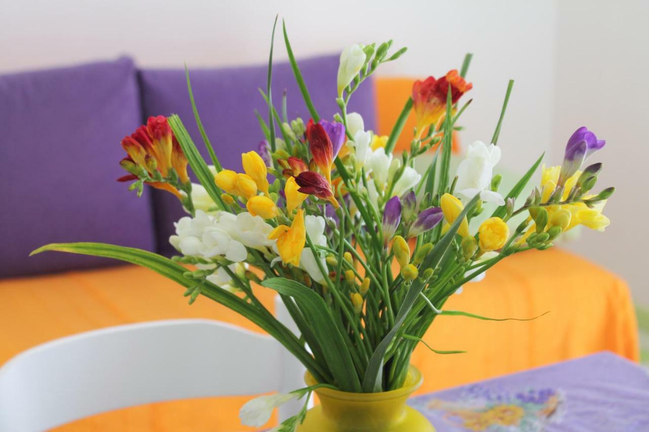 Apartments Nejasmic - Little House For Peaceful And Domestic Vacation Bol Buitenkant foto