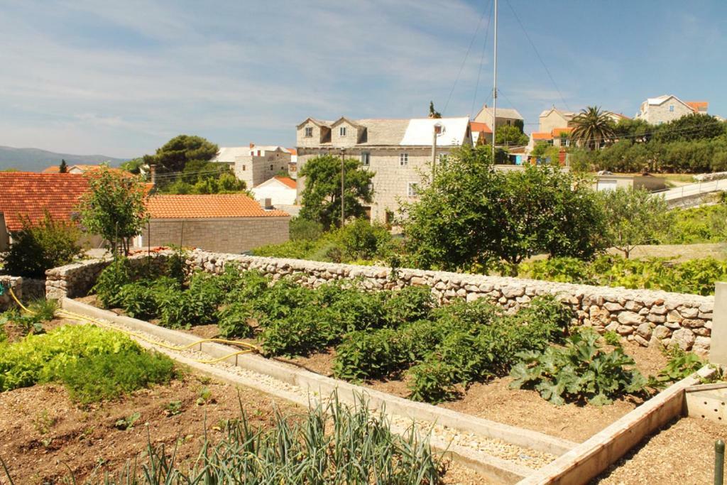 Apartments Nejasmic - Little House For Peaceful And Domestic Vacation Bol Buitenkant foto